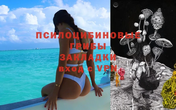 a pvp Богородицк