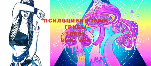 a pvp Богородицк