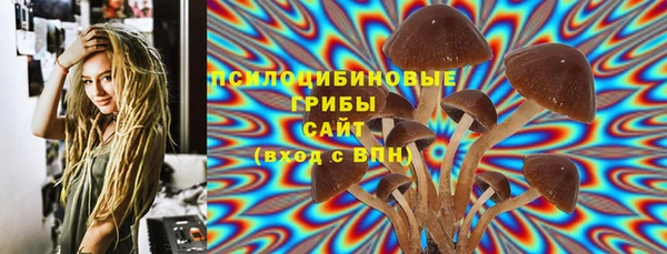 spice Белокуриха