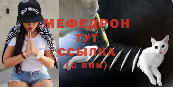 СК Богородск