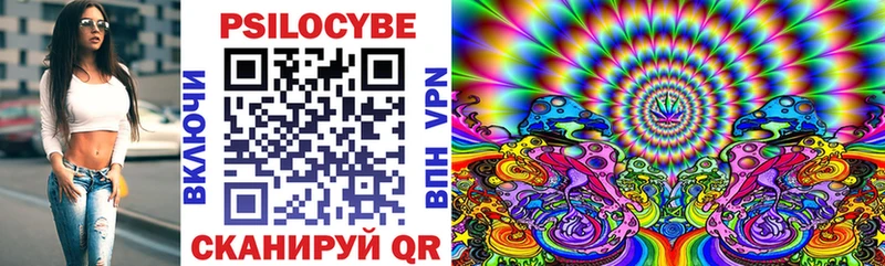 Галлюциногенные грибы GOLDEN TEACHER где купить наркоту Будённовск